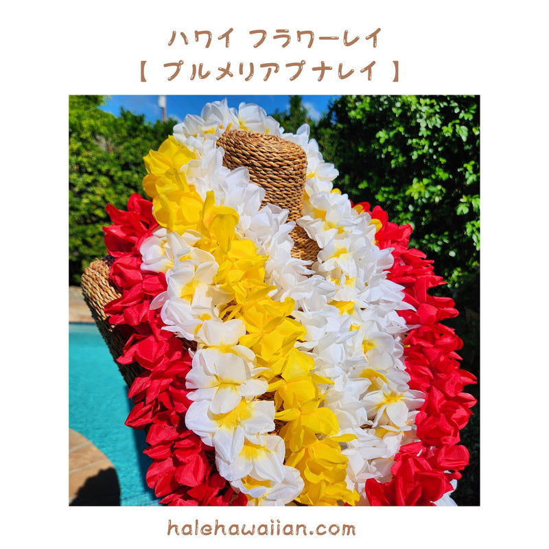 Hawaiian hula supplies flower lei [New Plumeria Puna]