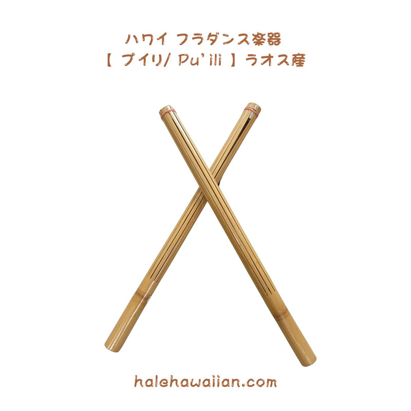 ハワイアン フラ用品 楽器 【プイリ Pu'ili】ラオス産