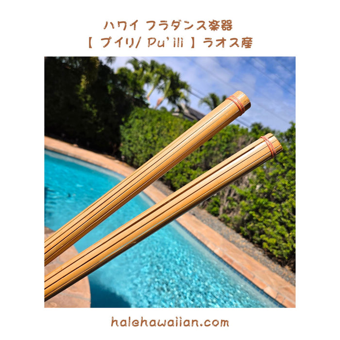 ハワイアン フラ用品 楽器 【プイリ Pu'ili】ラオス産