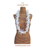 Hawaii Hula Supplies Flower Lei [White Spider Lily]
