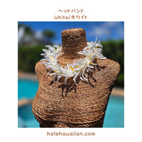 Hawaii Hula Supplies Flower Lei [White Spider Lily]
