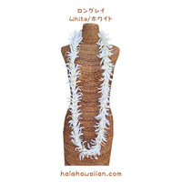 Hawaii Hula Supplies Flower Lei [White Spider Lily]