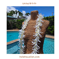 Hawaii Hula Supplies Flower Lei [White Spider Lily]