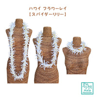 Hawaii Hula Supplies Flower Lei [White Spider Lily]
