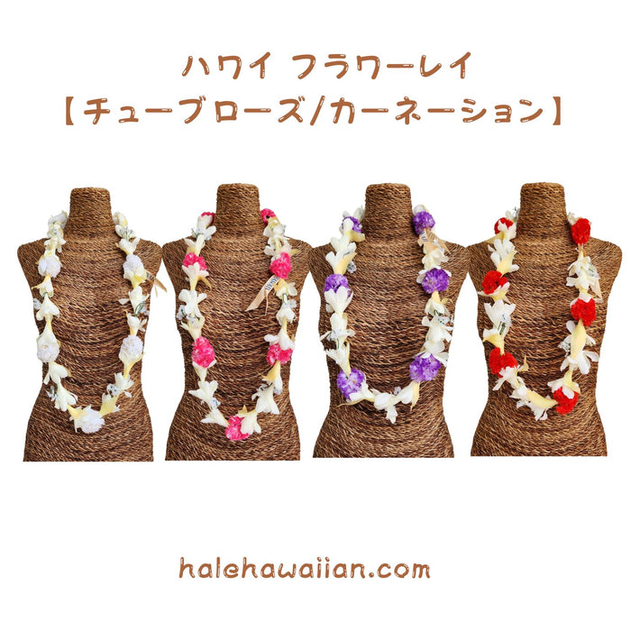 Hawaiian hula supplies Flower lei [Tuberose w/Carnation]