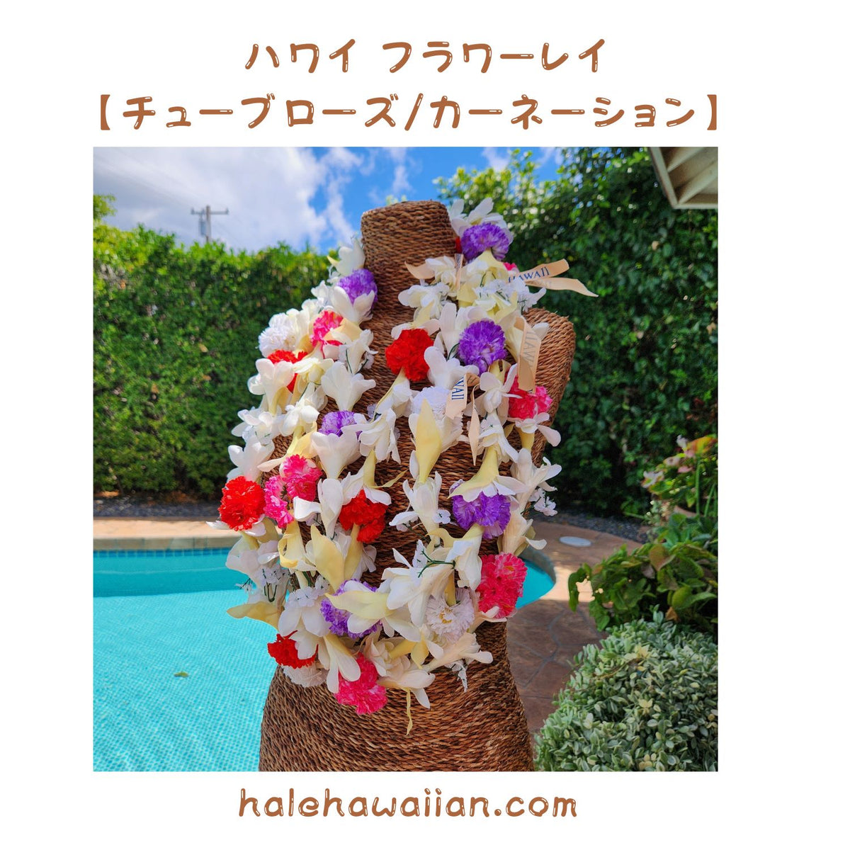 Hawaiian hula supplies Flower lei [Tuberose w/Carnation]