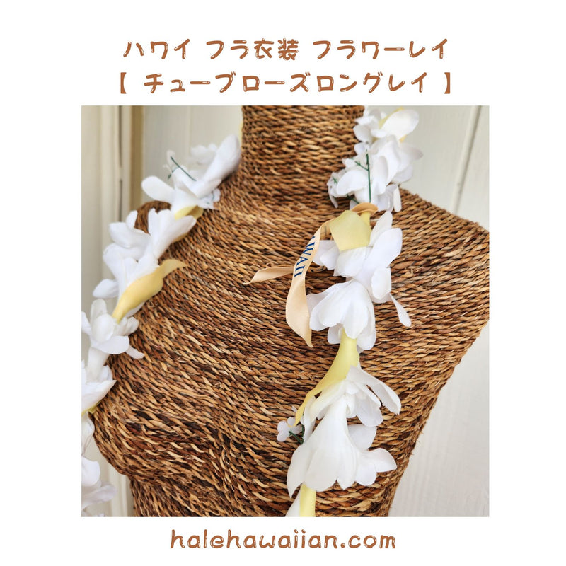 Hawaiian Hula Supplies Flower Lei [Tuberose Long Lei]