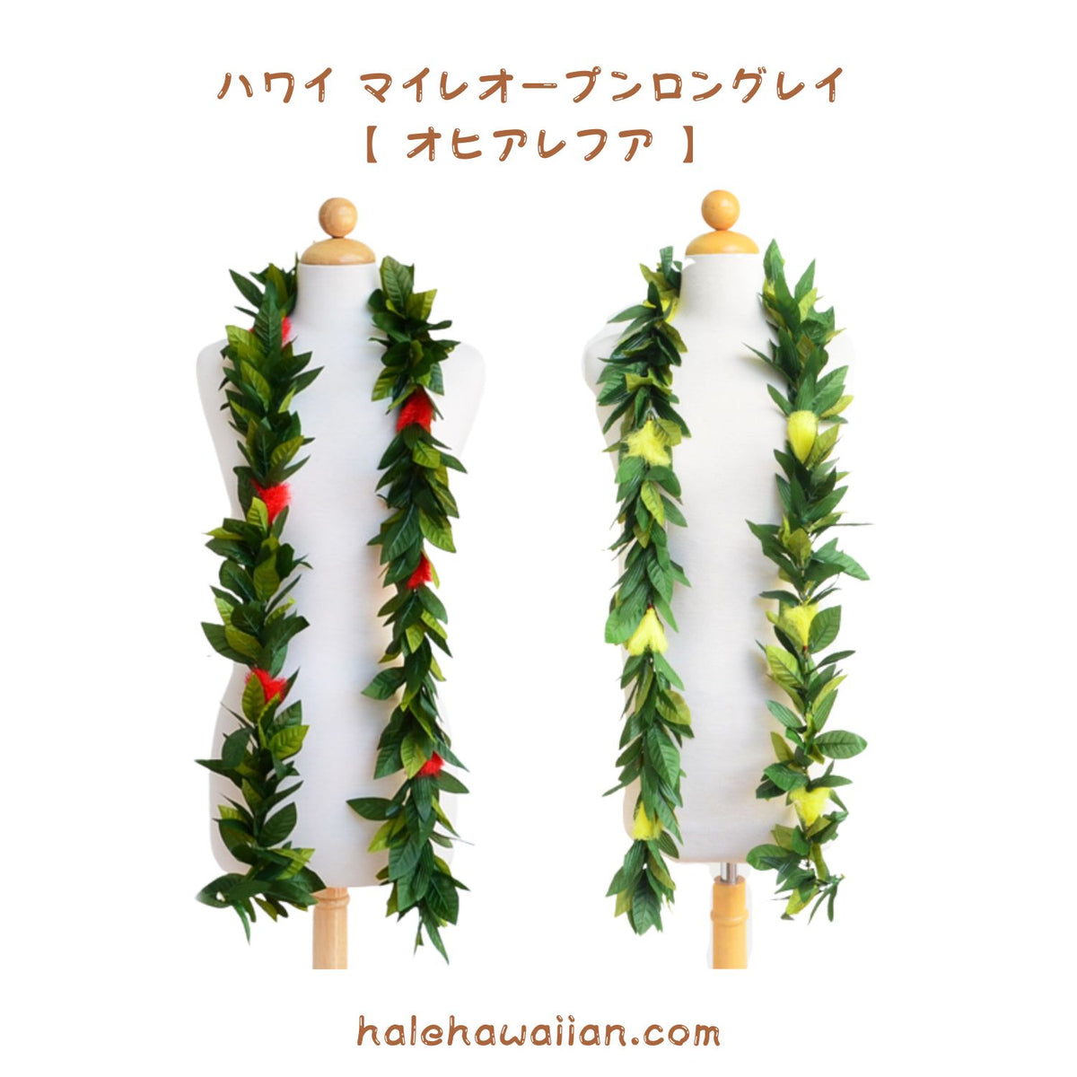 Hawaiian Hula Equipment Open Maile Lei (Long) [Hawaii Maile w/ Ohiale Hua Open]