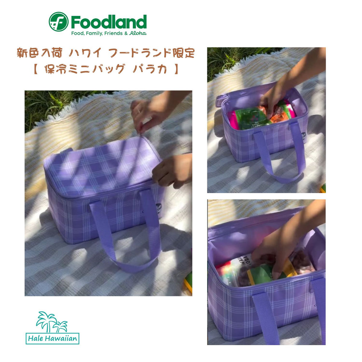 新色 ハワイ フードランド 限定 Palaka Cooler Bag【 アロハフライデー パラカ クーラーバッグ 】