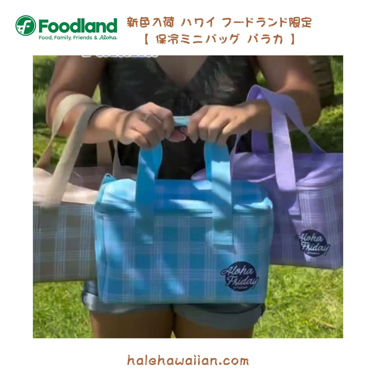 新色 ハワイ フードランド 限定 Palaka Cooler Bag【 アロハフライデー パラカ クーラーバッグ 】