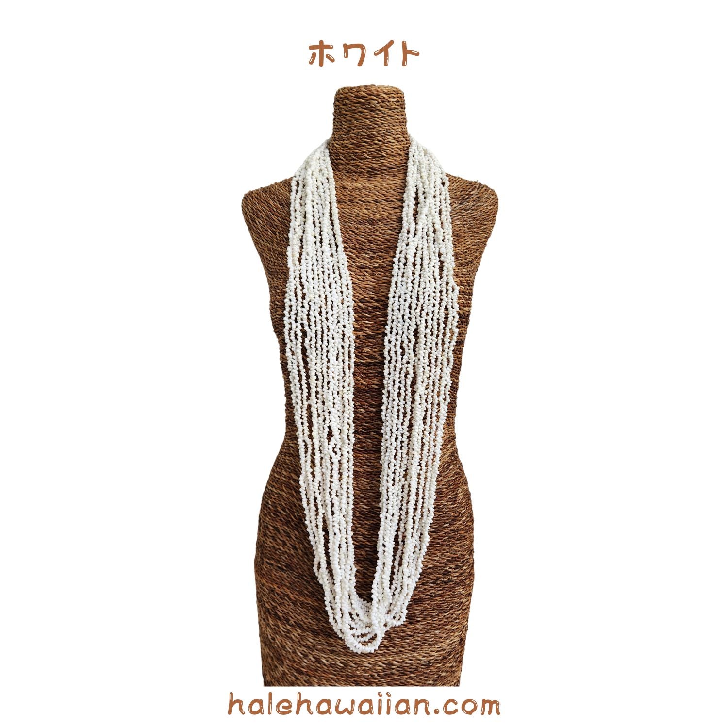 ⭐️　タヒチアン　モレ 楽天市場】タヒチ モレの通販