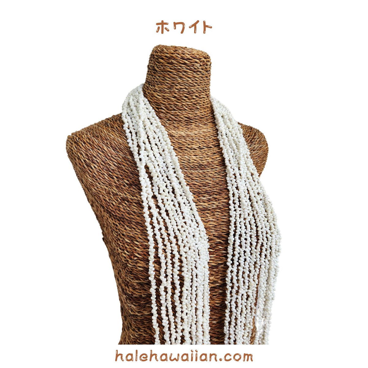 Hawaiian Tahitian Shell Lei Mongo Shell [12-strand long lei]