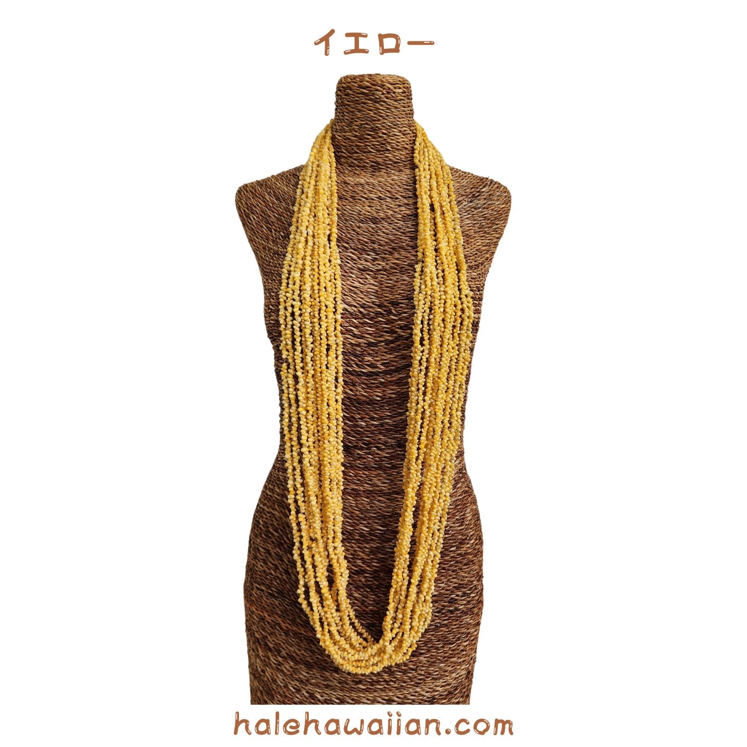 Hawaiian Tahitian Shell Lei Mongo Shell [12-strand long lei