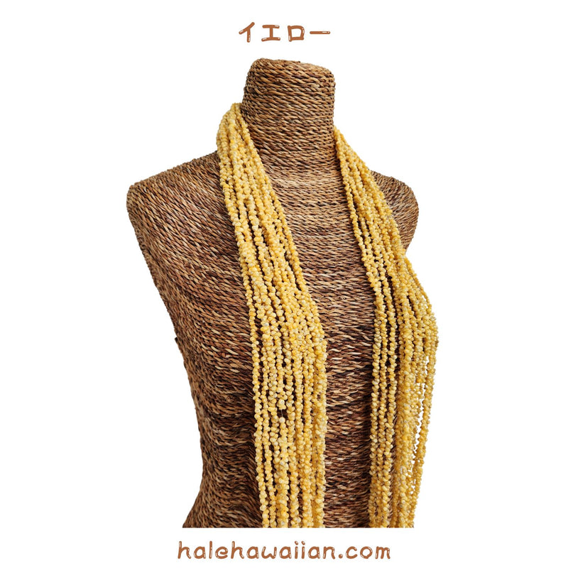 Hawaiian Tahitian Shell Lei Mongo Shell [12-strand long lei]