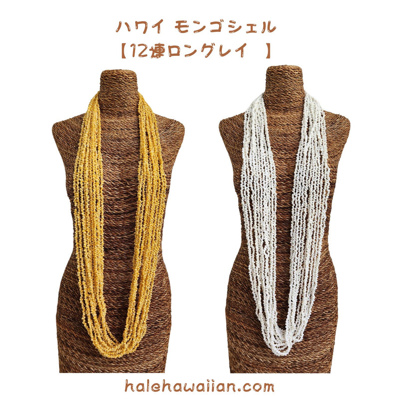 Hawaiian Tahitian Shell Lei Mongo Shell [12-strand long lei]