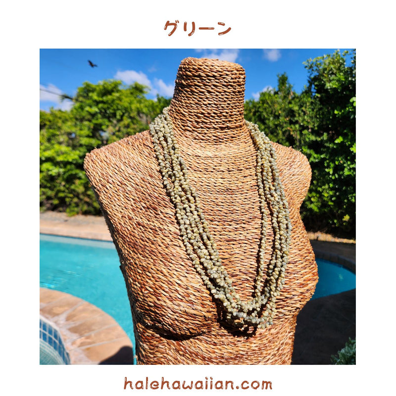 Hawaiian Tahitian Shell Lei Mongo Shell [5-Row Shell Necklace]