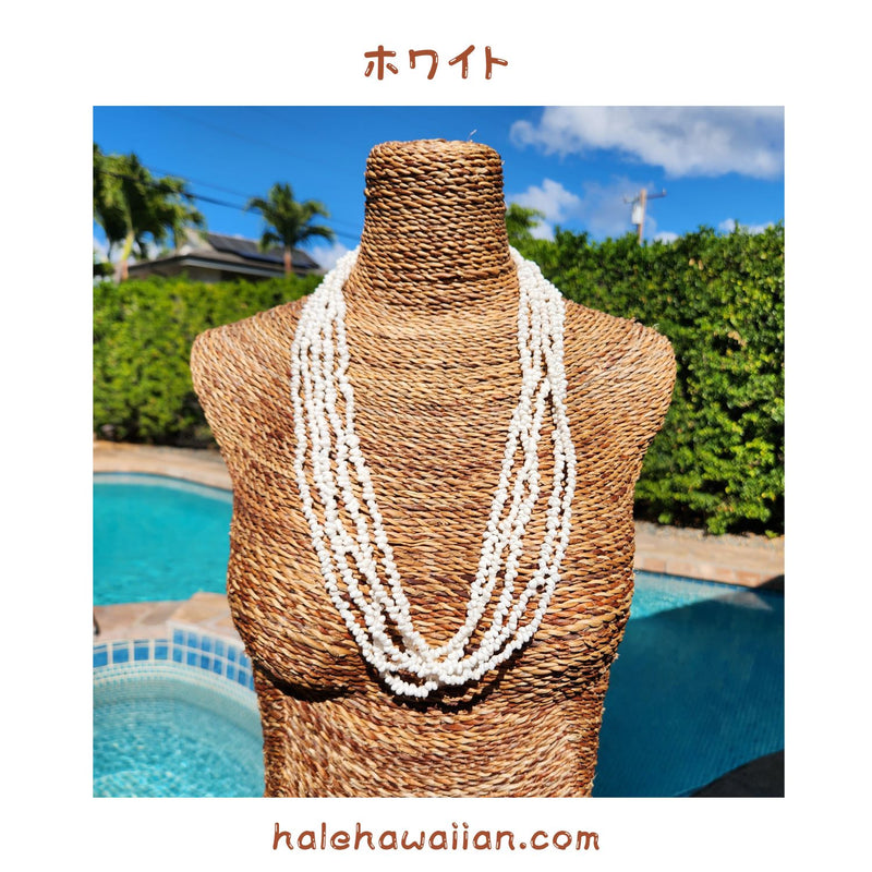 Hawaiian Tahitian Shell Lei Mongo Shell [5-Row Shell Necklace]