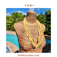 Hawaiian Tahitian Shell Lei Mongo Shell [5-Row Shell Necklace]