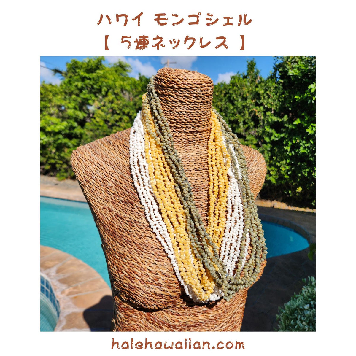 Hawaiian Tahitian Shell Lei Mongo Shell [5-Row Shell Necklace]