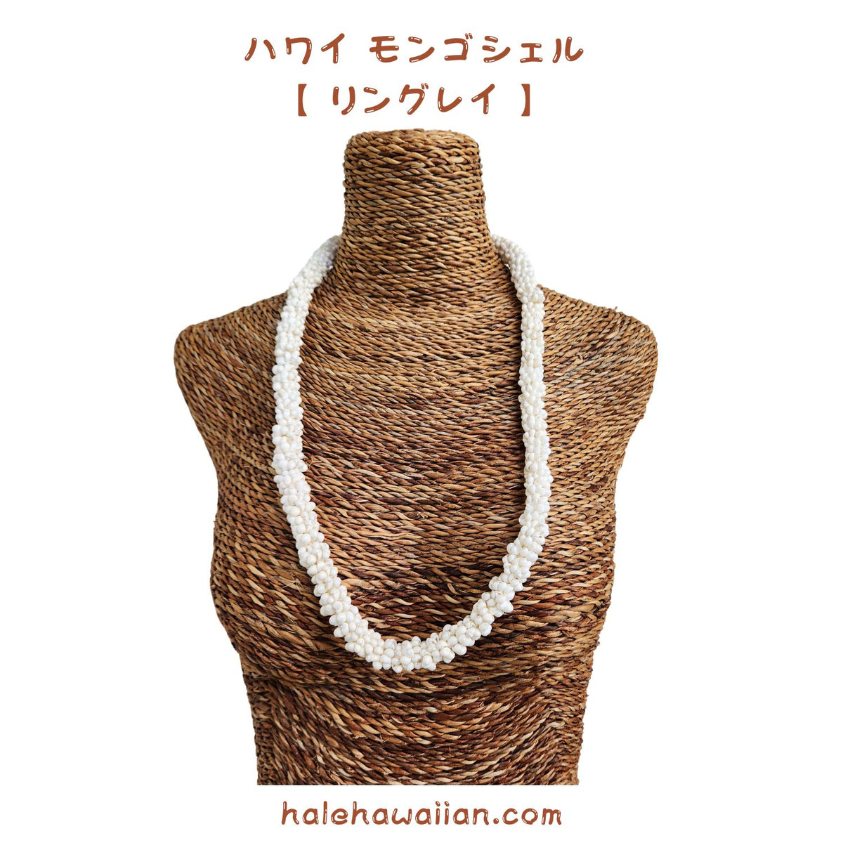 Hawaiian Hula Supplies Shell Ray [Mongo Shell]