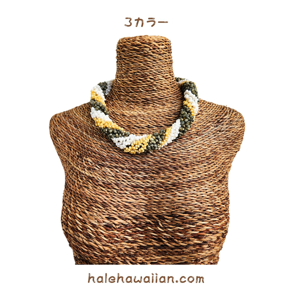 Hawaiian Shell Accessories Mongo Shell [Twisted Choker]