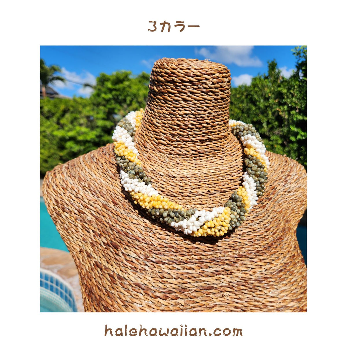 Hawaiian Shell Accessories Mongo Shell [Twisted Choker]