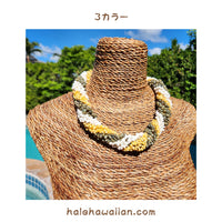 Hawaiian Shell Accessories Mongo Shell [Twisted Choker]