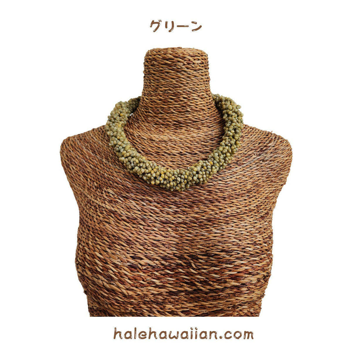 Hawaiian Shell Accessories Mongo Shell [Twisted Choker]