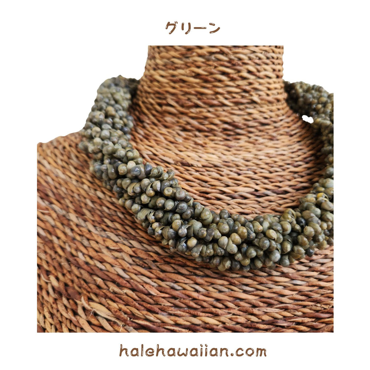 Hawaiian Shell Accessories Mongo Shell [Twisted Choker]