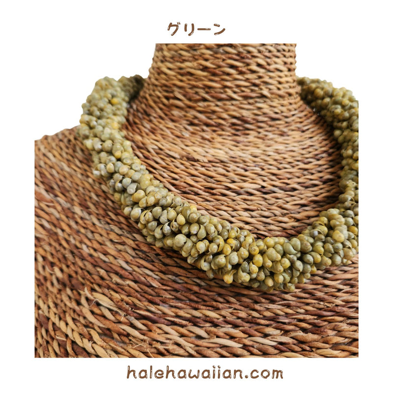 Hawaiian Shell Accessories Mongo Shell [Twisted Choker]