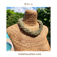 Hawaiian Shell Accessories Mongo Shell [Twisted Choker]