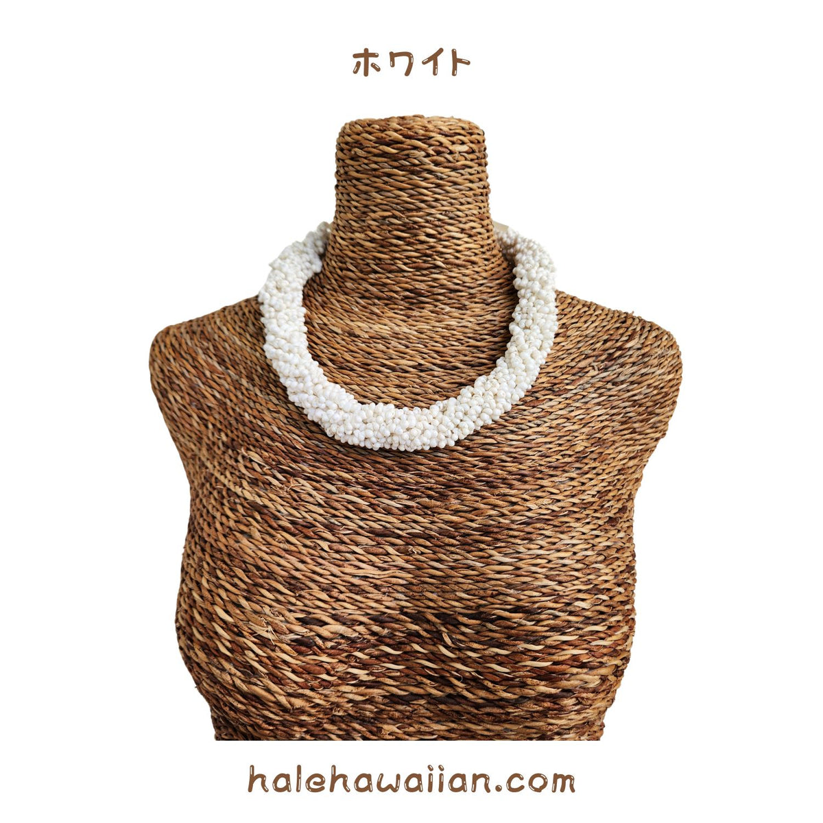 Hawaiian Shell Accessories Mongo Shell [Twisted Choker]