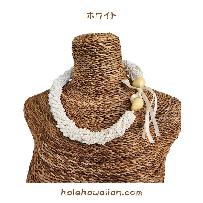 Hawaiian Shell Accessories Mongo Shell [Twisted Choker]