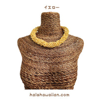 Hawaiian Shell Accessories Mongo Shell [Twisted Choker]