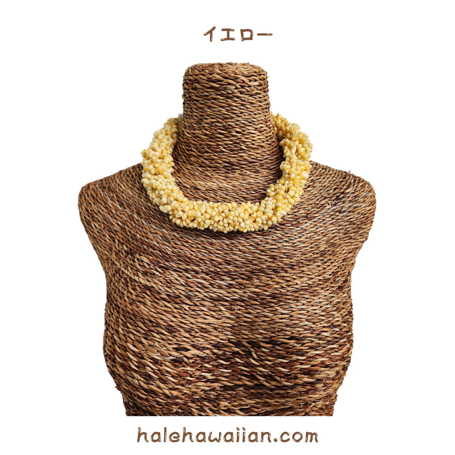 ⭐️ジャンジャンさま専用⭐️シェルチョーカー ニイハウシェル ハワイアンシェル ⭐️ジャンジャンさま専用⭐️シェルチョーカー ニイハウシェル