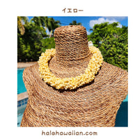 Hawaiian Shell Accessories Mongo Shell [Twisted Choker]