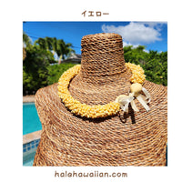 Hawaiian Shell Accessories Mongo Shell [Twisted Choker]