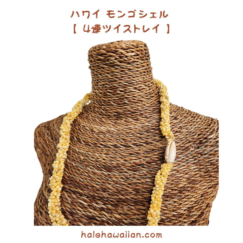 Hawaiian Shell Lei Mongo Shell [4-strand twisted lei] Yellow