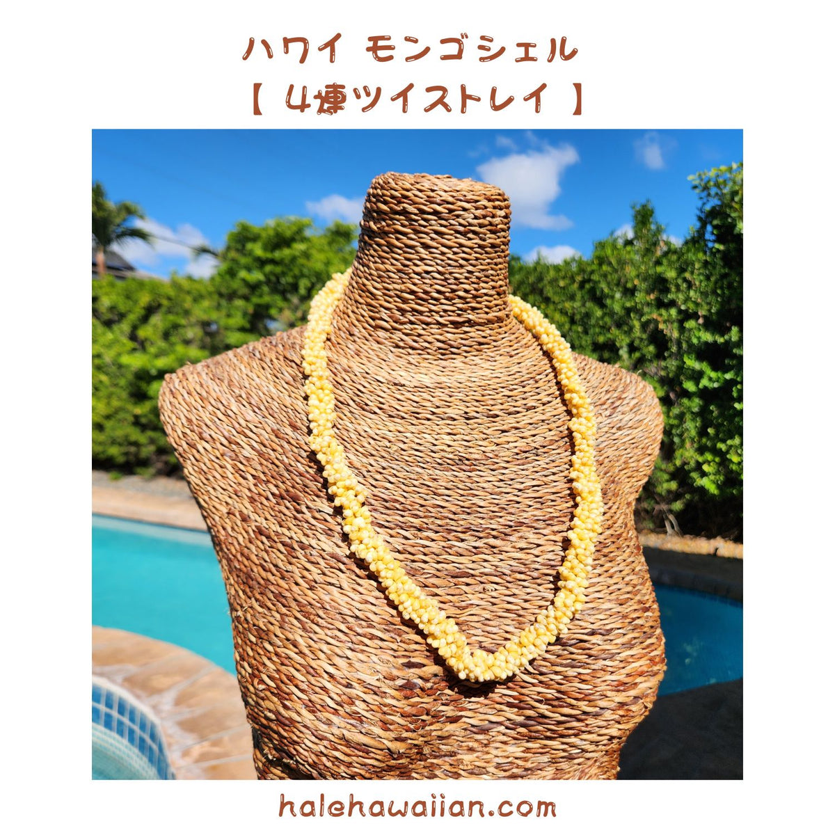 Hawaiian Shell Lei Mongo Shell [4-strand twisted lei] Yellow