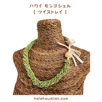 Hawaiian Shell Accessories Mongo Shell [Emerald Mongo Twist Choker]