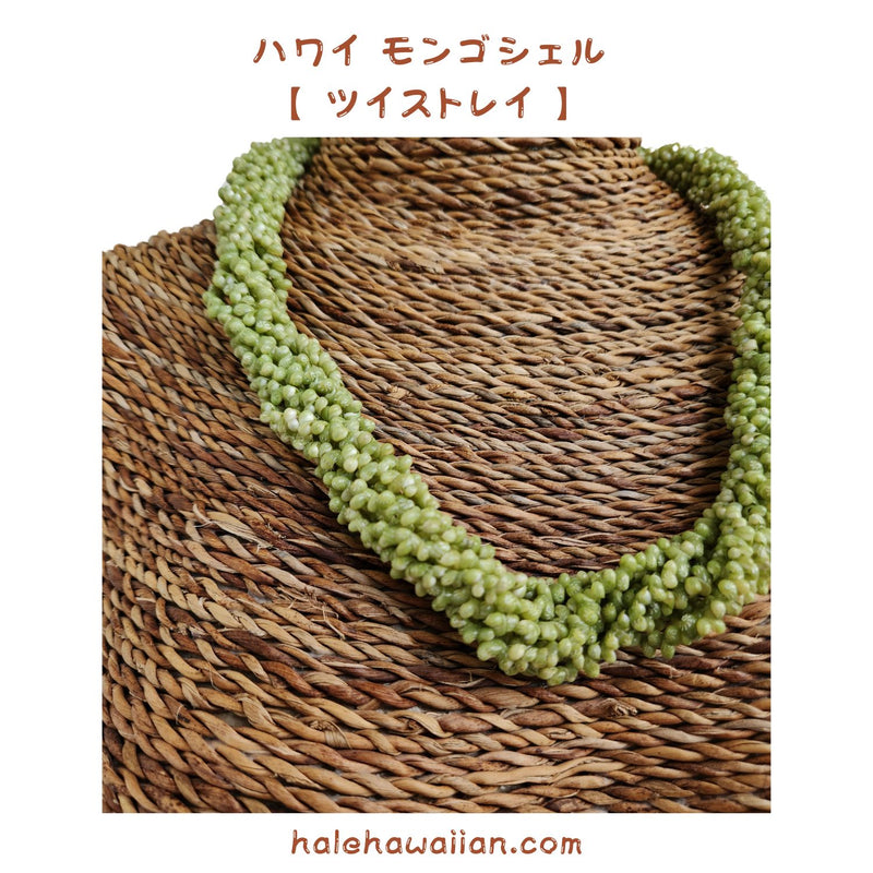 Hawaiian Shell Accessories Mongo Shell [Emerald Mongo Twist Choker]