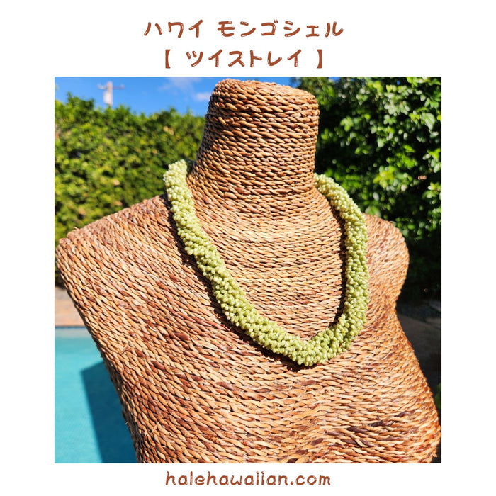 Hawaiian Shell Accessories Mongo Shell [Emerald Mongo Twist Choker]