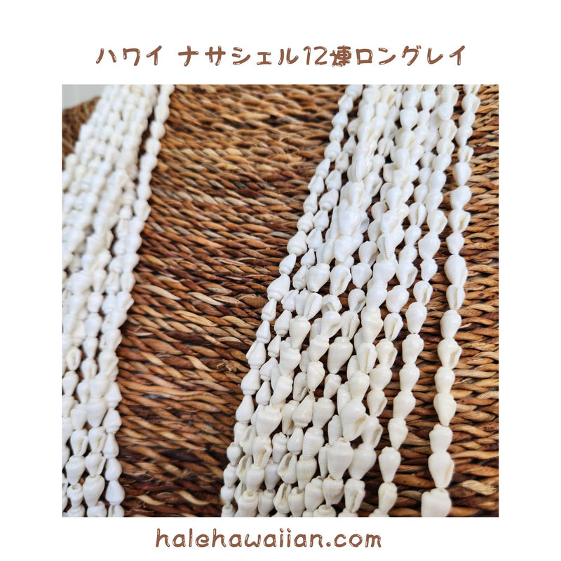 Hawaiian Tahitian Shell Lei [Nasa Shell Long Lei 12 Strands] White