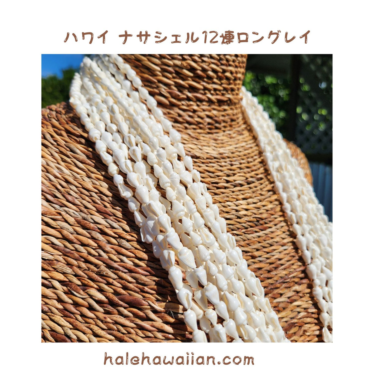 Hawaiian Tahitian Shell Lei [Nasa Shell Long Lei 12 Strands] White