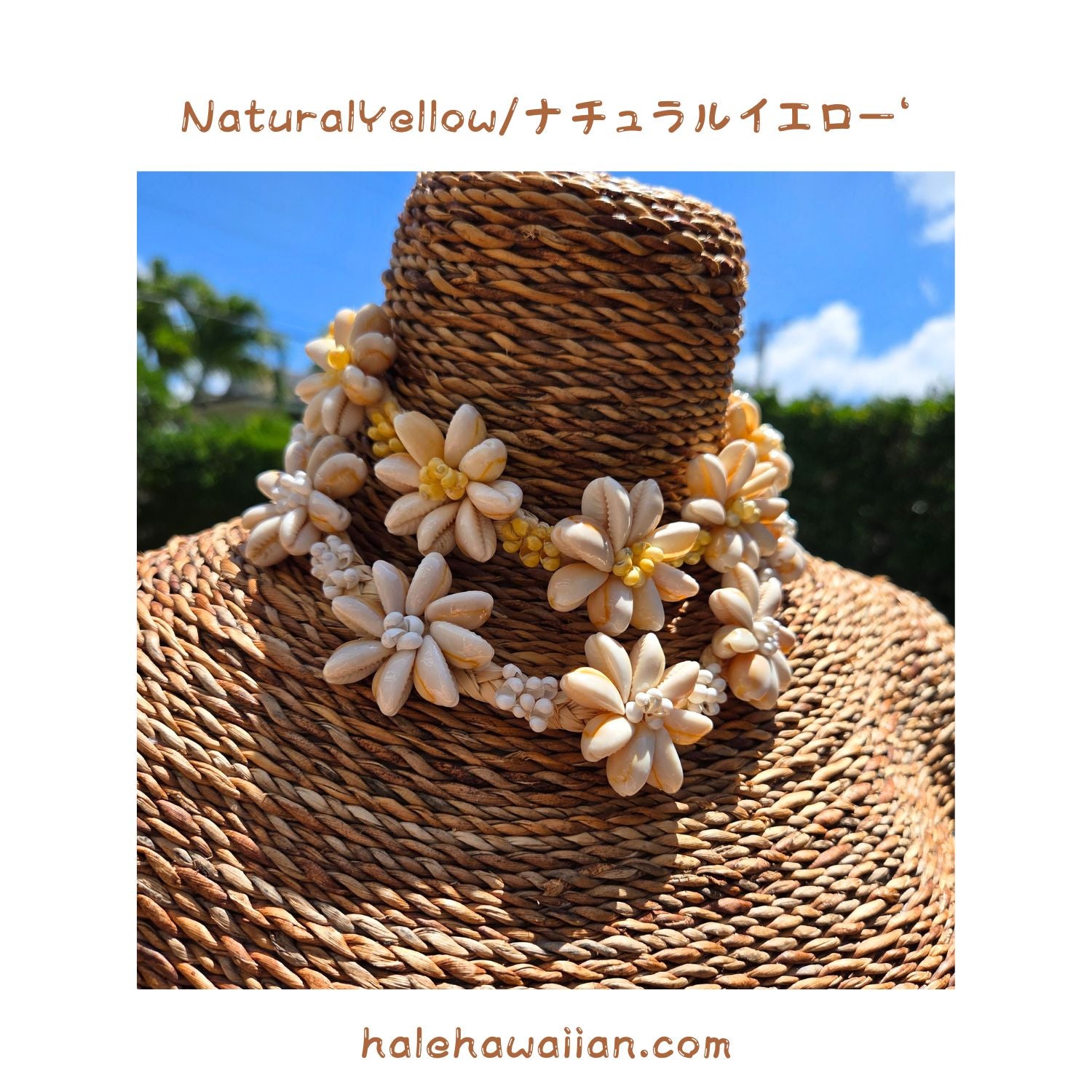 ハワイアン フラ用品 カウリー シェルチョーカー【ティアレラフィア