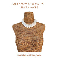 Hawaii Raffia Shell Choker [Teardrop]