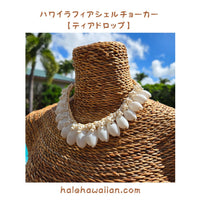Hawaii Raffia Shell Choker [Teardrop]