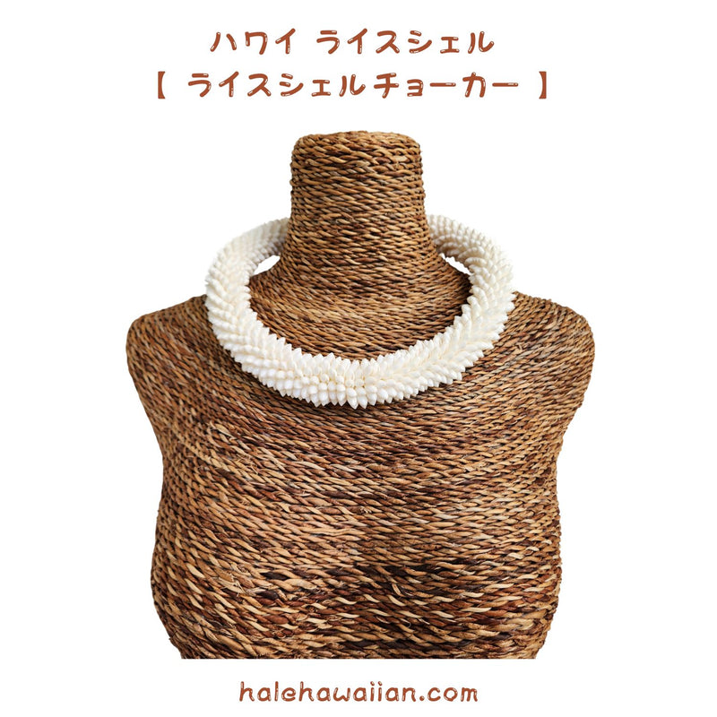 Hawaiian Shell Accessories Rice Shell [High Quality Rice Shell Ring Choker]