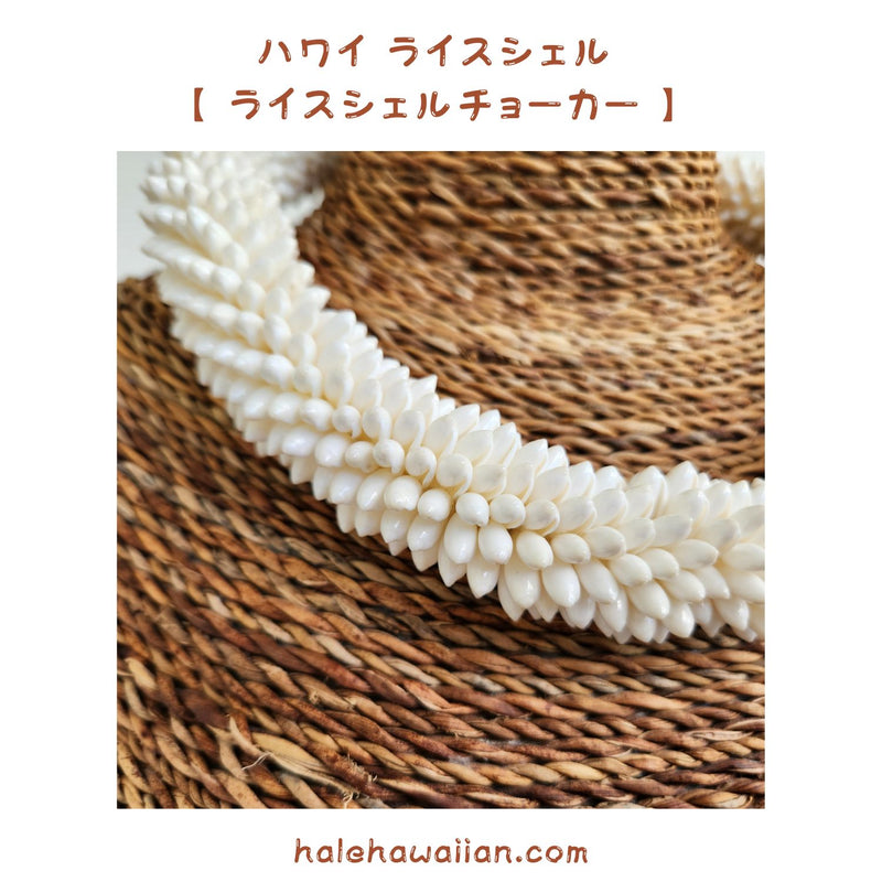 Hawaiian Shell Accessories Rice Shell [High Quality Rice Shell Ring Choker]