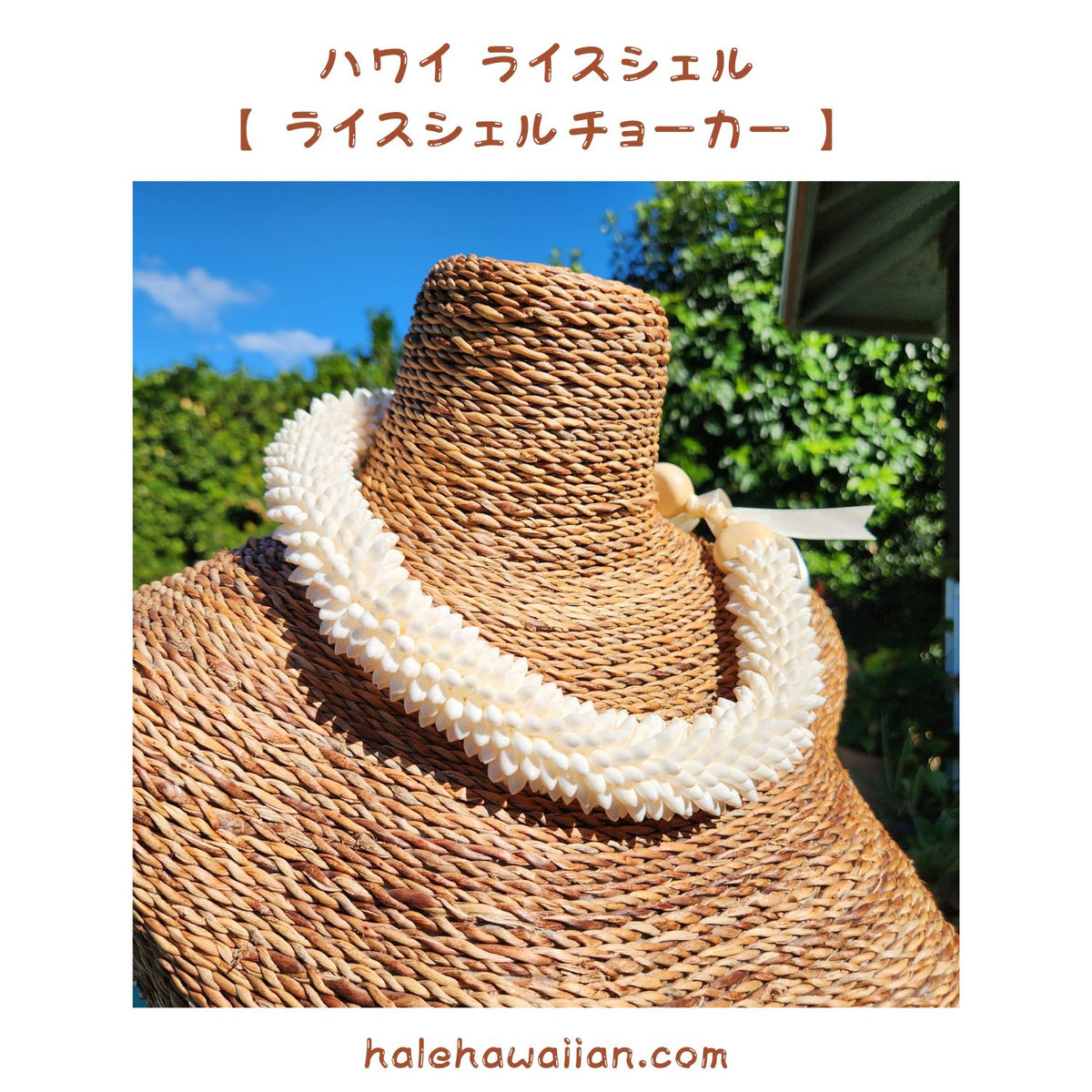 Hawaiian Shell Accessories Rice Shell [High Quality Rice Shell Ring Choker]